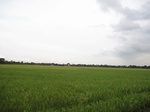 16031IMG_4763.JPG
