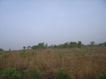 3832RIMG0136.JPG