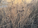2018-01-08_09-59-30_52B8BB31-6216-4E56-A3E7-D3C1E61D9600.jpg