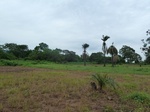 18424P1000260.JPG