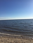 2017-02-19_16-36-49_77847A0C-9F77-4F31-B3E8-90A088057698.jpg