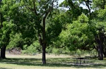 2017-07-04_12-38-15_looking south.jpg
