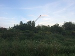 2018-09-05_14-40-34_5E90084C-26BB-48FE-BC70-C0627F36E01E.jpg