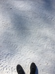 2020-02-21_10-39-32_9E919E6E-334C-4FE6-864B-83082EFD240B.jpg