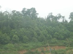 2012-09-08_19-26-22_RIMG0029.JPG