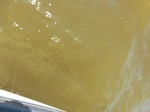 2012-09-21_14-26-30_CIMG0139.JPG