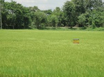 21362DSC00634.JPG