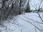 2020-02-21_10-59-04_C13D011C-F8B7-43EF-A1F6-A6502CC52E8B.jpg