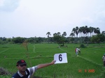 6010006a-irrigated-canal-nagarjunsagar-rice-dominant.jpg