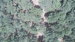 2017-06-12_13-57-37_DJI_0029.jpg