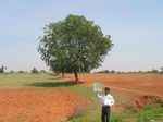 7804gt040b-rainfed-mixed-crops.jpg
