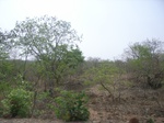 4024RIMG0328.JPG