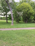 2017-06-13_14-33-16_North.jpg