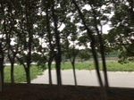 2017-09-10_20-50-58_7EF493B6-394A-4605-807B-F72A20D9EA63.jpg