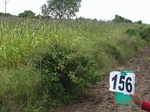 125760156c-irrigated-supplemental-groundwater-millet-dominant-sugarcane-sorghum.gif
