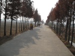 8456IMG_0281.JPG