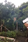 2020-07-05_12-26-45_2020-7-5-12-25-49.jpg