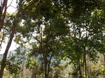 5561100_0951.JPG