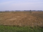 3166R0017200.JPG