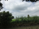 2017-09-12_12-57-50_15C2459B-4083-41C1-96CB-4228E221125C.jpg