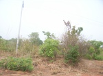 3993RIMG0297.JPG