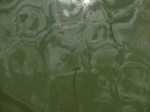 58272CIMG2719.JPG
