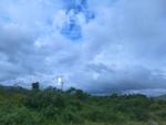40620CIMG6546.JPG