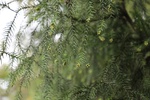 2019-12-06_16-59-28_4E8A0567.JPG