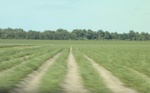 2022-06-11_17-48-50_ECD224FB-8C54-4500-A3F6-703E6C0D69D7_1_201_a.jpeg