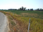 2017-09-02_17-10-21_DSCF2947.JPG