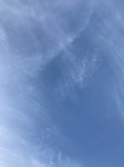 2020-11-05_14-45-10_2020-11-4-16-41-56.jpg