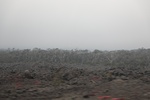 2018-07-06_15-56-16_2018-06-08 18.39.03.jpg