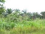 20729P1020586.JPG