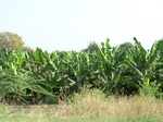 1769722042008(76).JPG