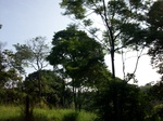 5617100_1043.JPG
