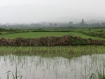2012-09-07_10-16-17_CIMG6694.JPG