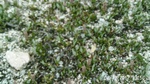2012-09-27_14-25-45_286.JPG