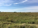 2019-10-18_15-04-18_2D5D21AD-06E5-4A09-BDB3-D423EBE65953.jpg