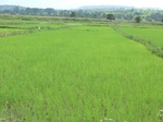2012-09-07_10-06-07_CIMG6644.JPG
