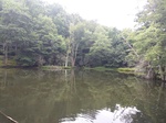 2017-07-05_18-23-14_IMG_20170704_134659.jpg