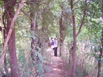 1775024042008(11).JPG