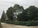 2017-09-10_20-45-55_F777B6CE-4006-4FC2-BD33-BB394589744A.jpg