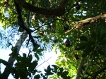 2012-10-17_19-50-06_381.JPG