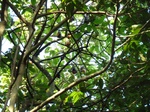 2012-10-17_20-32-17_386.JPG