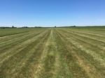 2017-07-03_17-30-16_image4.jpeg