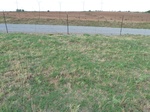 39304WEAT20110815S.JPG