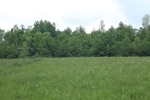 2017-05-27_13-25-26_East(N43.05266.W077.25584).JPG