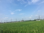 2017-09-12_13-42-54_4D988BAB-73F7-4BF2-81A7-85733814DFD3.jpg