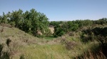 2017-06-05_15-53-43_GameTrail_COPU103_052717_North.jpg