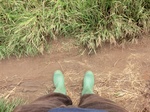 2012-09-07_10-20-06_CIMG6711.JPG
